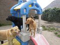 afb_20160430 (5)